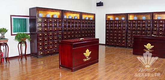 西安海棠学院能力提升工程--医学美容实验实训中心一期建设侧记