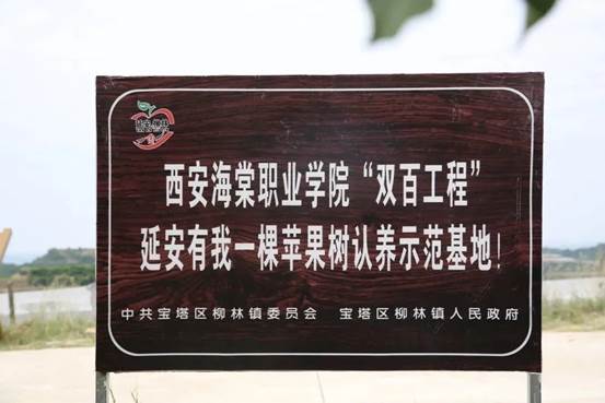 说明: 640.webp (2)