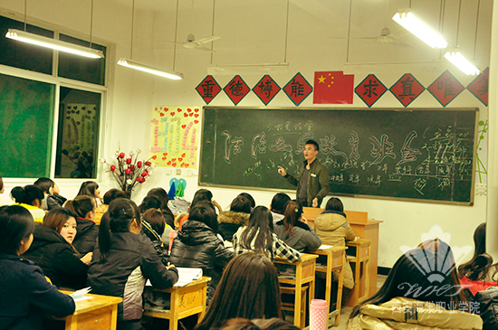 西安海棠学院积极开展“法制宣传日”主题教育活动